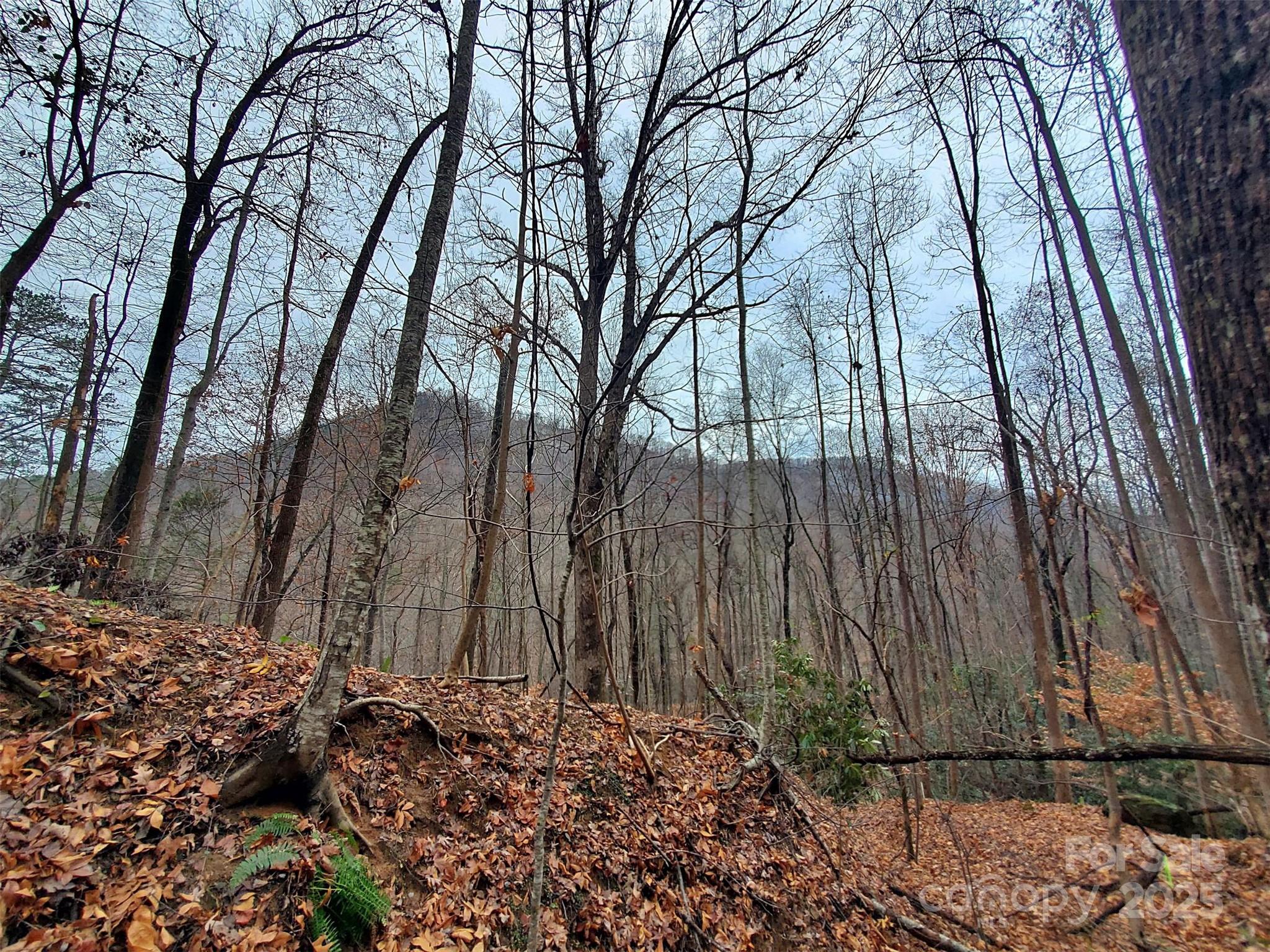 000 Green River Cove Road Saluda NC 28773