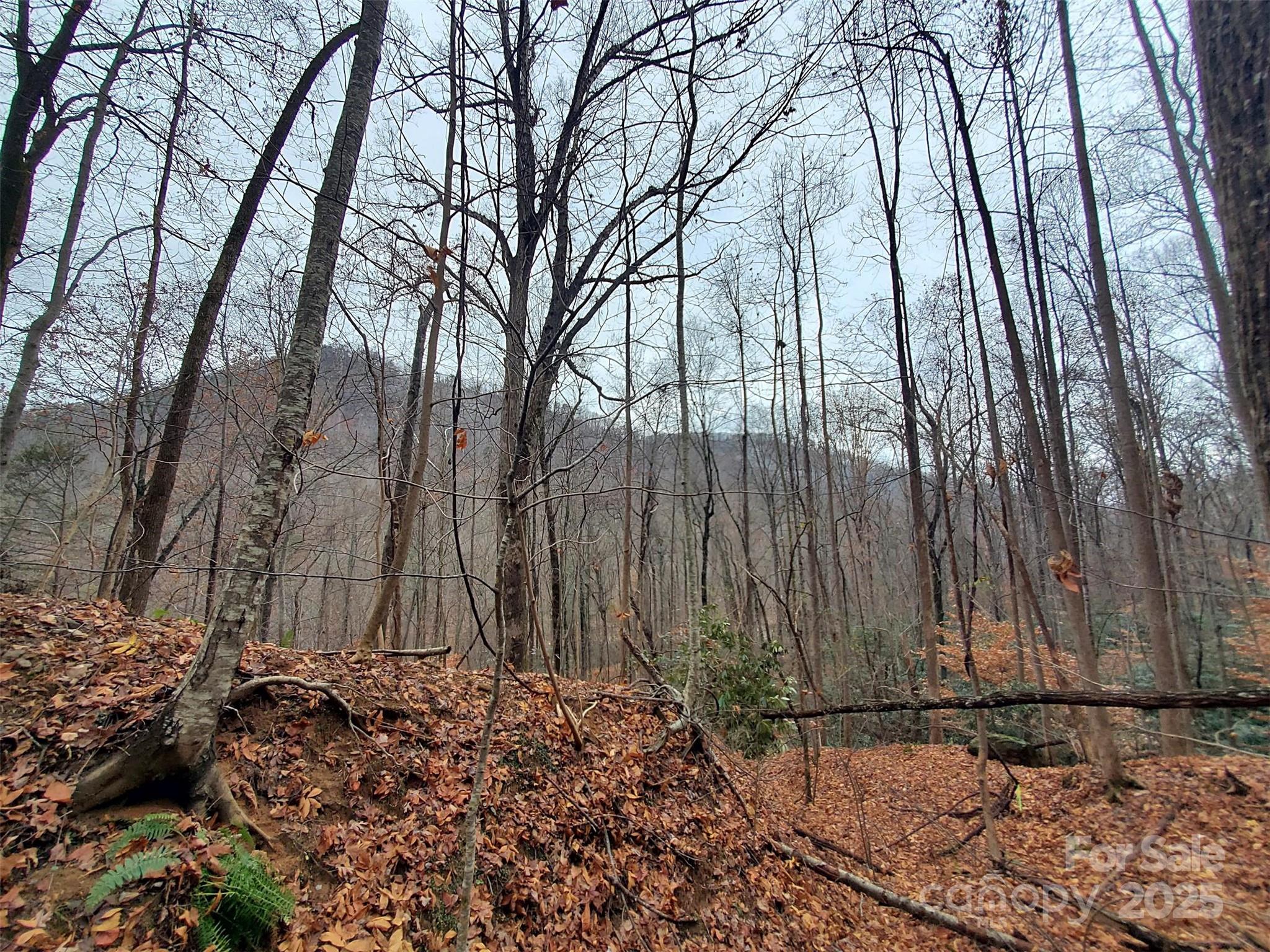 000 Green River Cove Road Saluda NC 28773