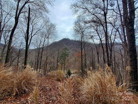 000 Green River Cove Road Saluda NC 28773