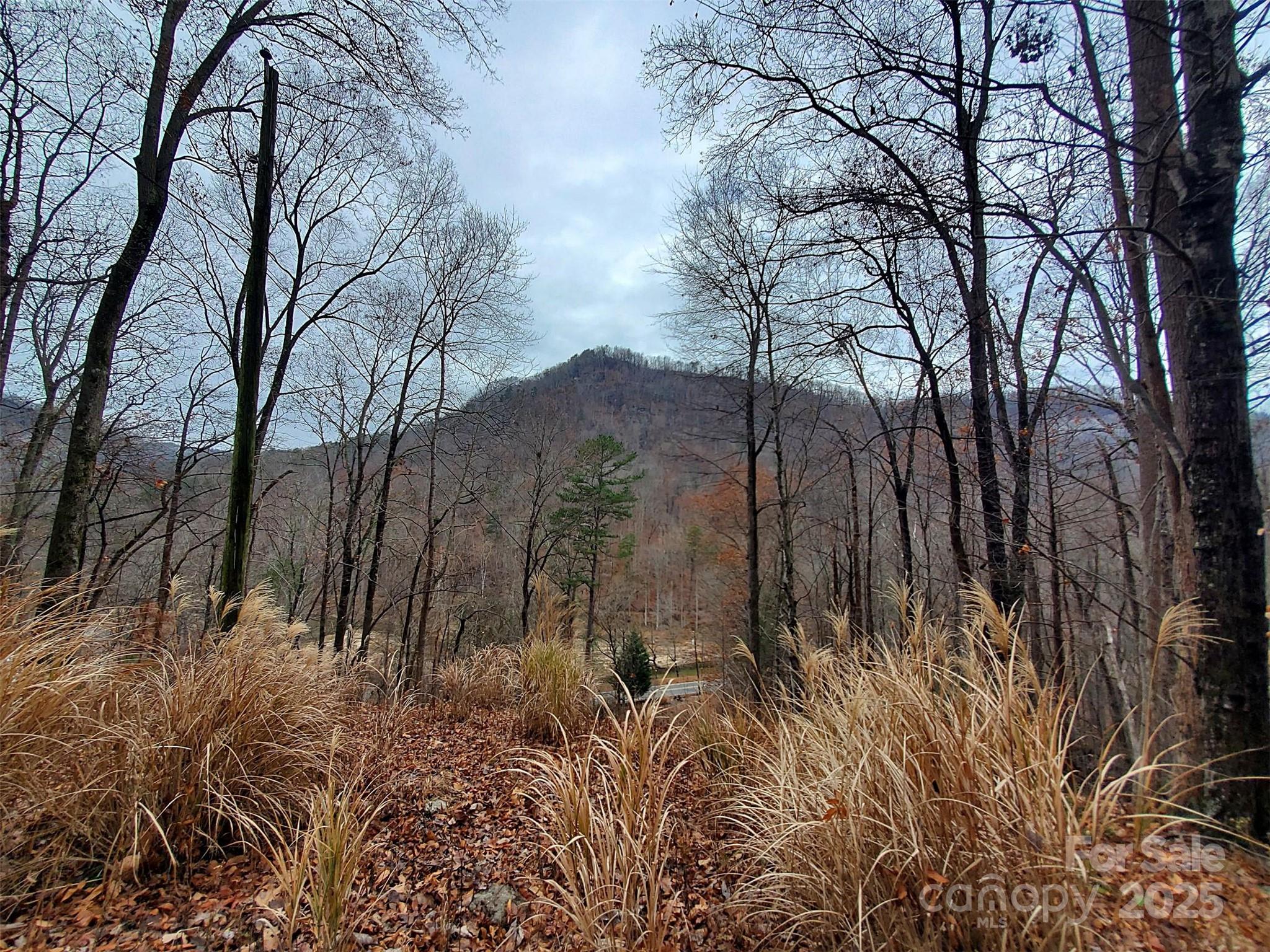 000 Green River Cove Road Saluda NC 28773