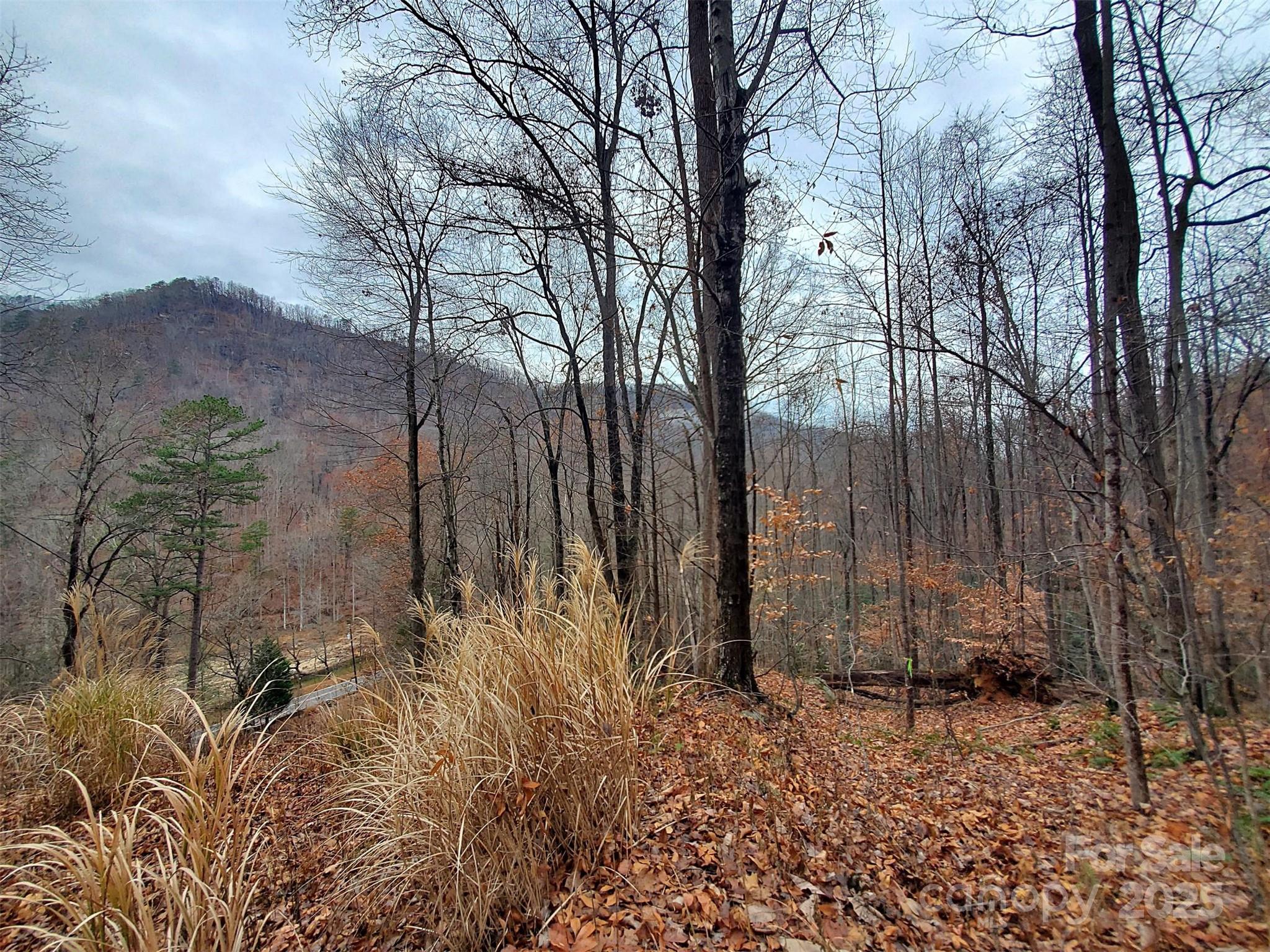 000 Green River Cove Road Saluda NC 28773