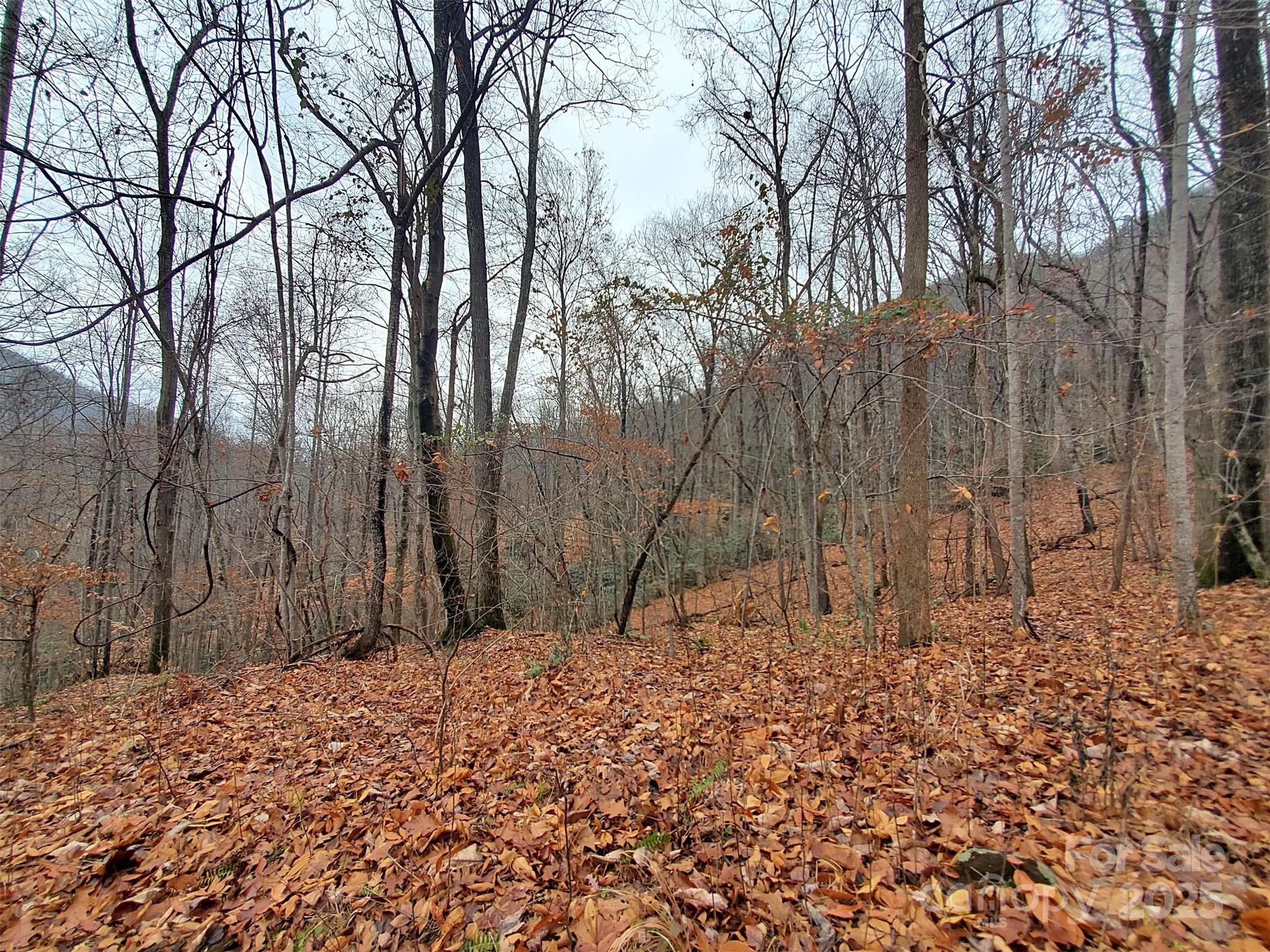 000 Green River Cove Road Saluda NC 28773