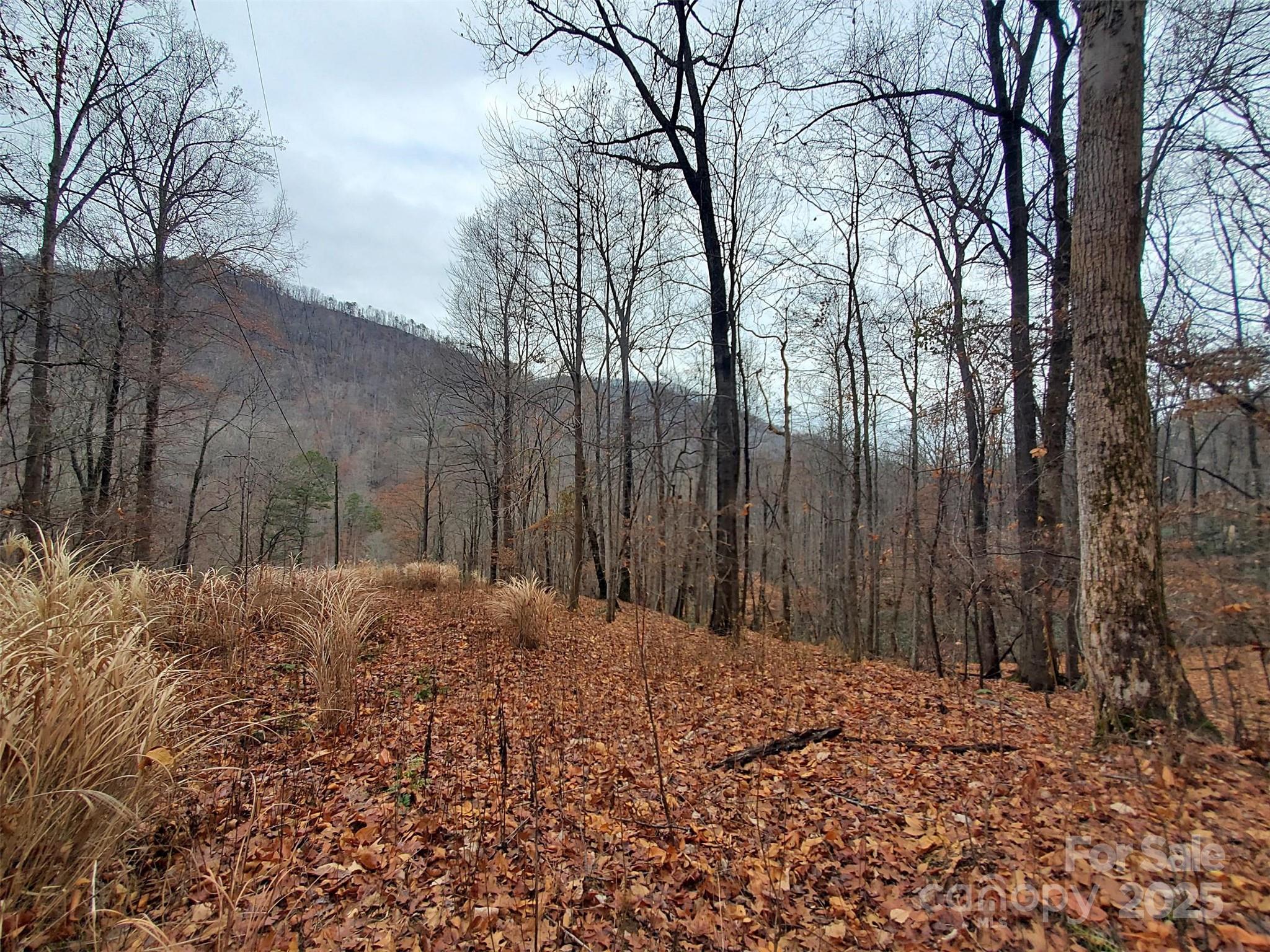 000 Green River Cove Road Saluda NC 28773