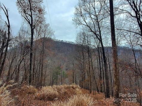 000 Green River Cove Road Saluda NC 28773