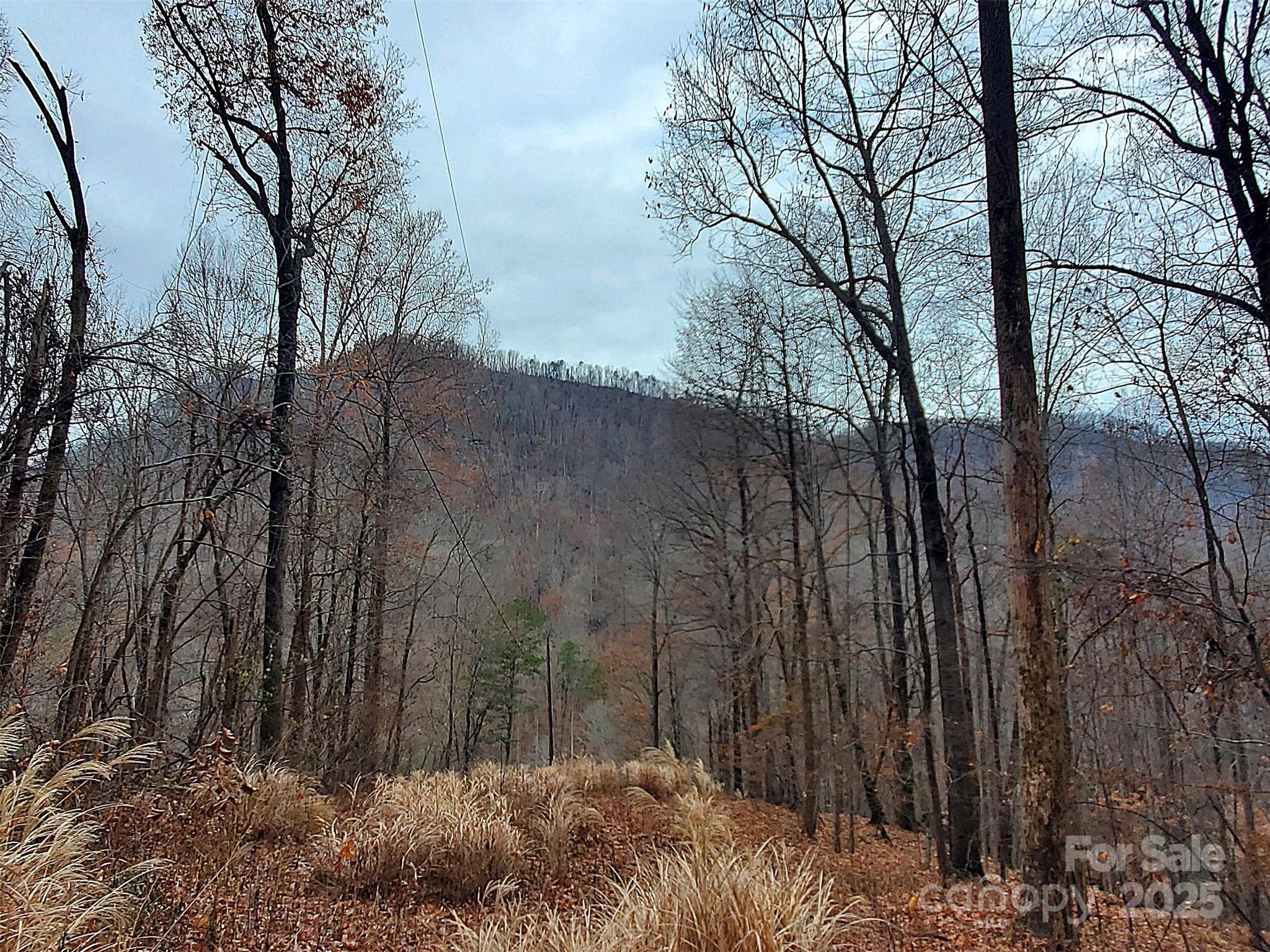 000 Green River Cove Road Saluda NC 28773
