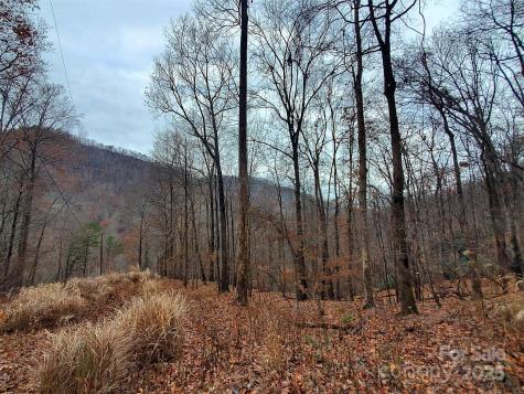000 Green River Cove Road Saluda NC 28773