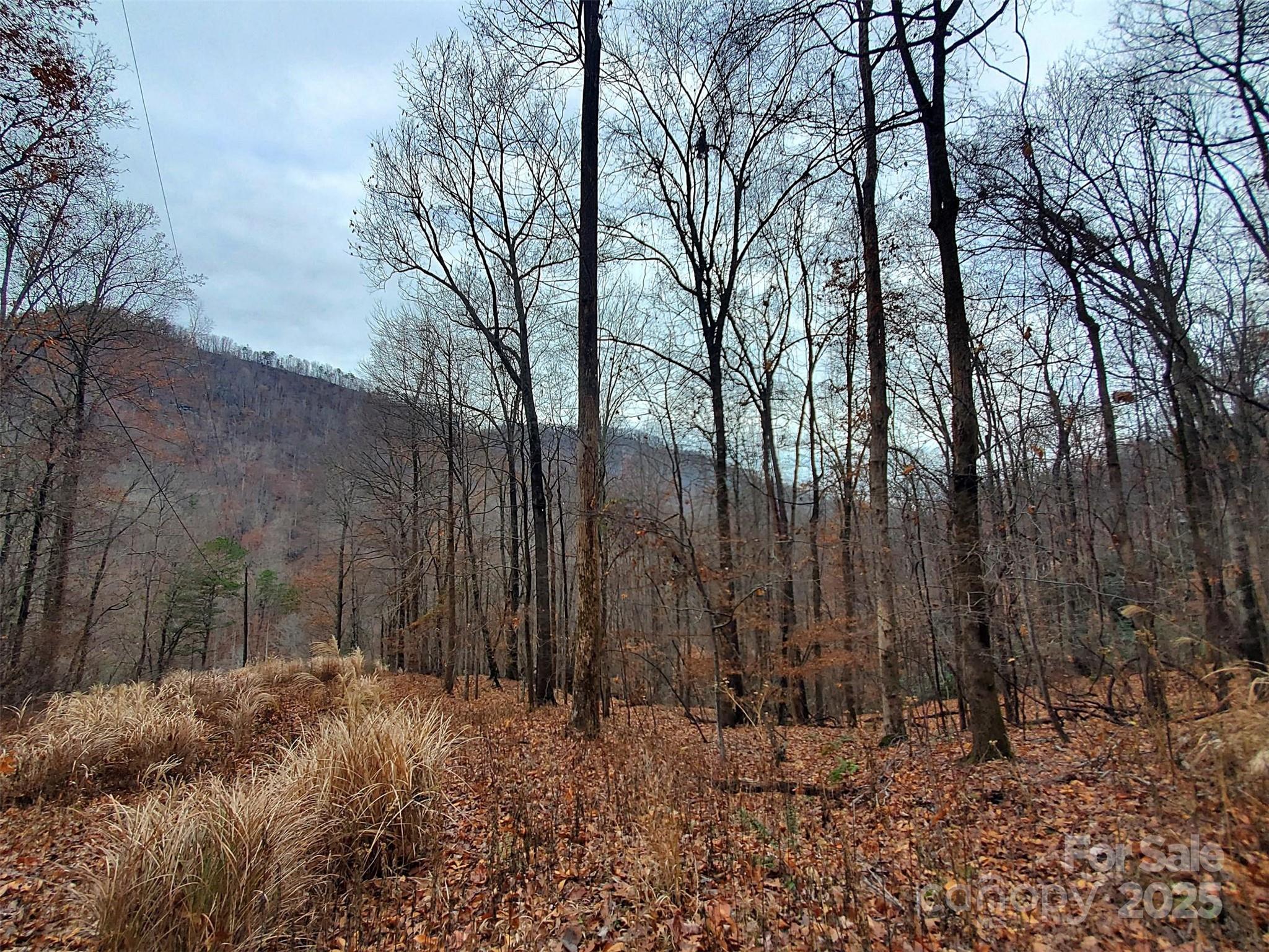 000 Green River Cove Road Saluda NC 28773