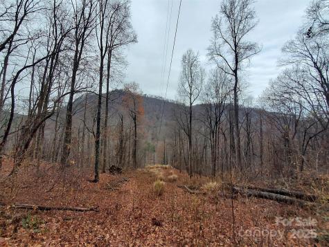 000 Green River Cove Road Saluda NC 28773