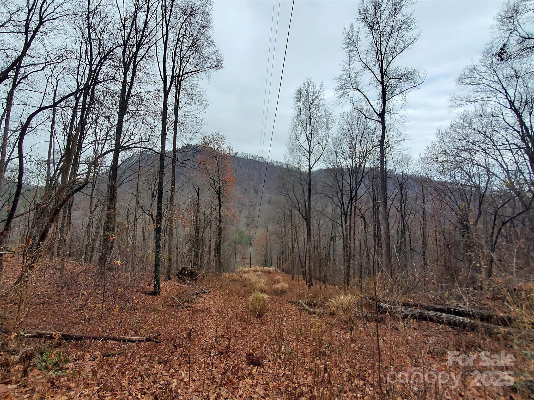 000 Green River Cove Road Saluda NC 28773