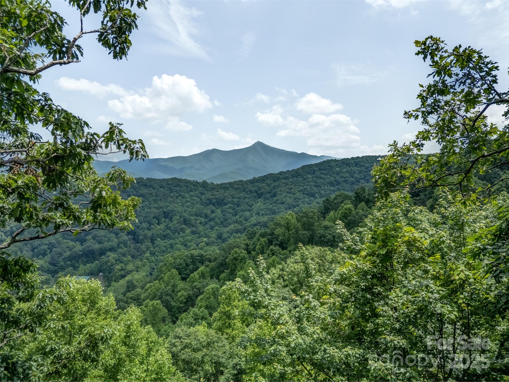 100 White Rock Branch Road Candler NC 28715