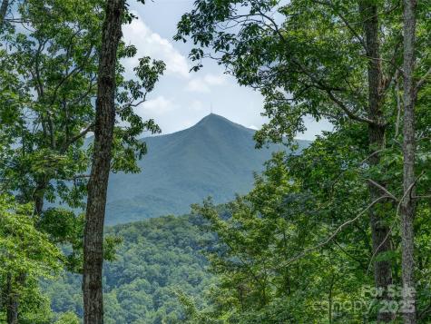 100 White Rock Branch Road Candler NC 28715