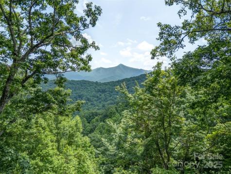 100 White Rock Branch Road Candler NC 28715