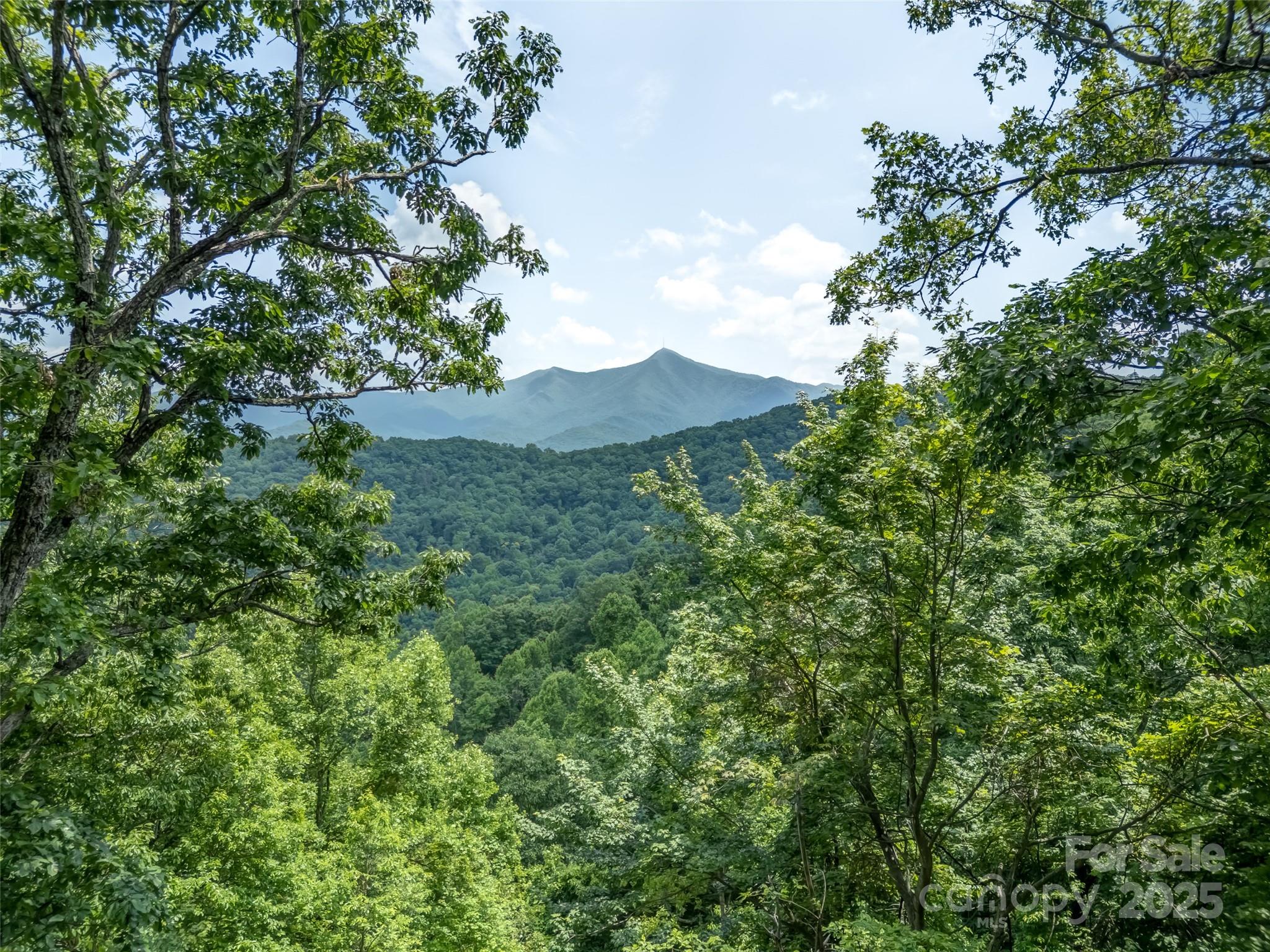 100 White Rock Branch Road Candler NC 28715