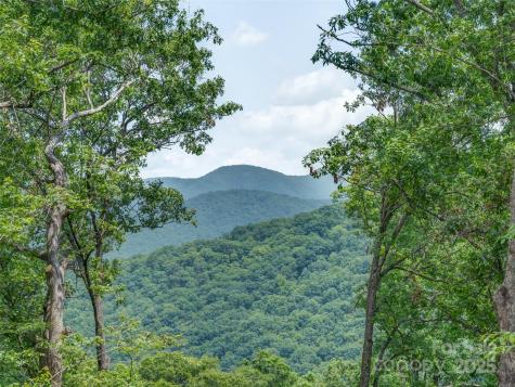 100 White Rock Branch Road Candler NC 28715