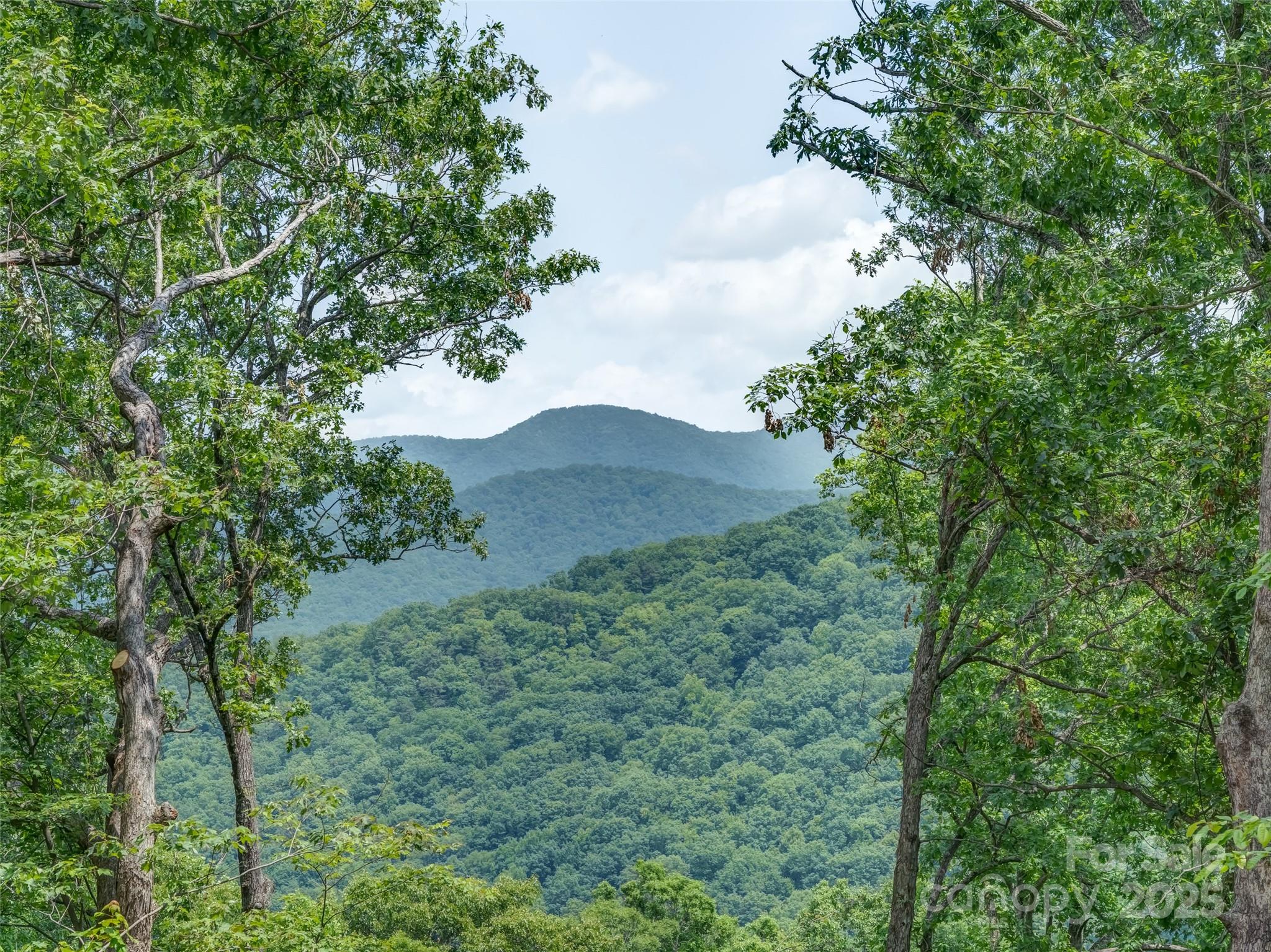 100 White Rock Branch Road Candler NC 28715