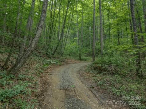 100 White Rock Branch Road Candler NC 28715