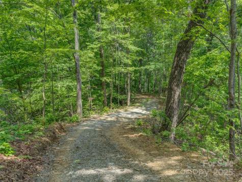 100 White Rock Branch Road Candler NC 28715
