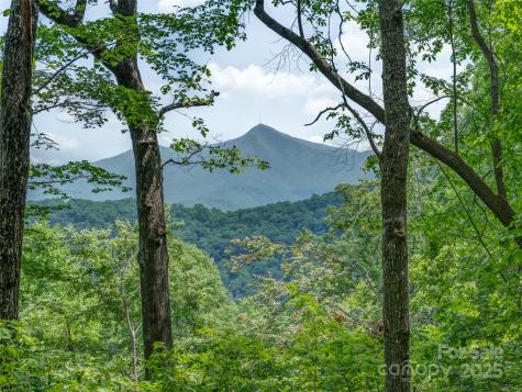 100 White Rock Branch Road Candler NC 28715
