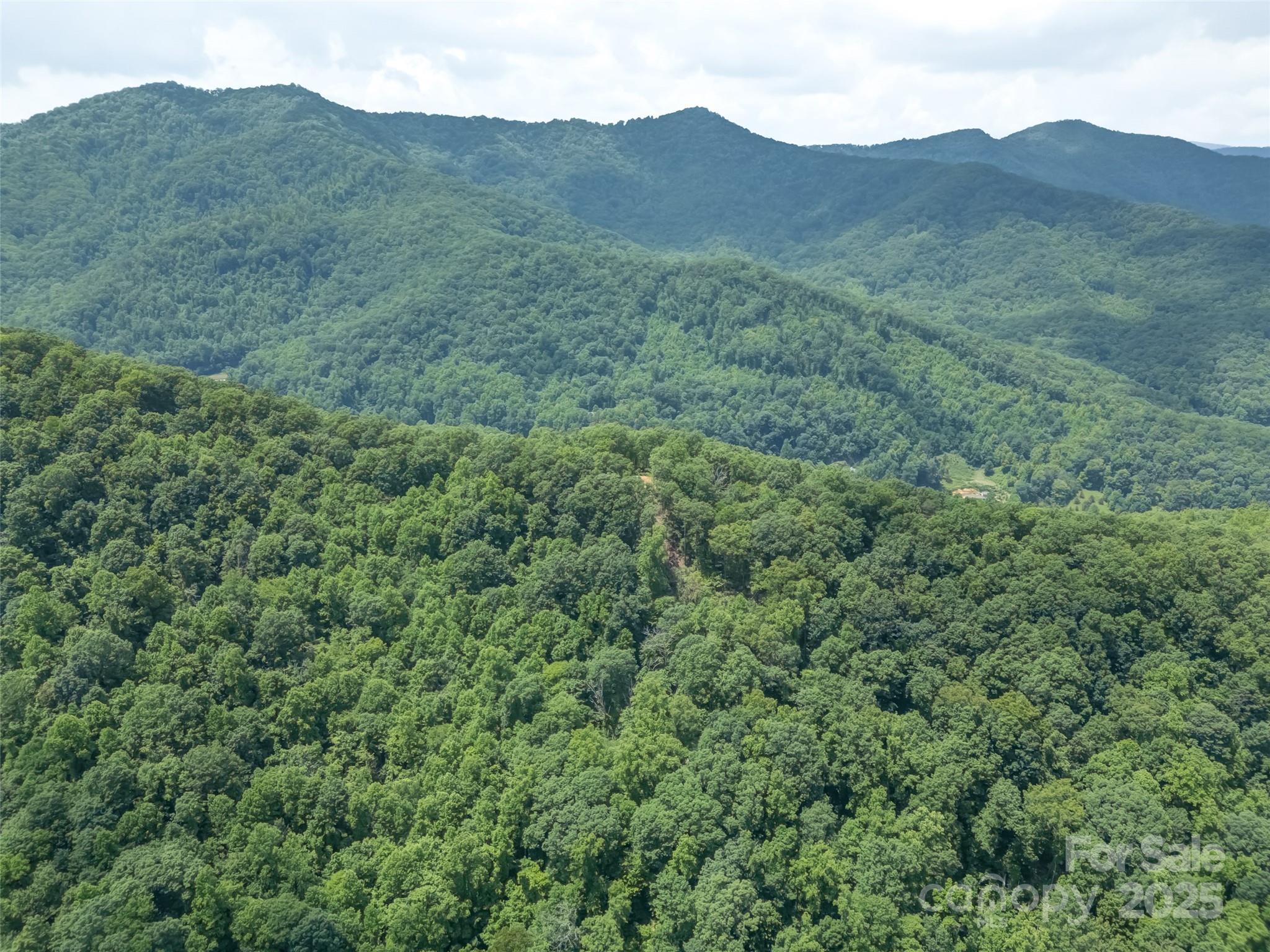 100 White Rock Branch Road Candler NC 28715