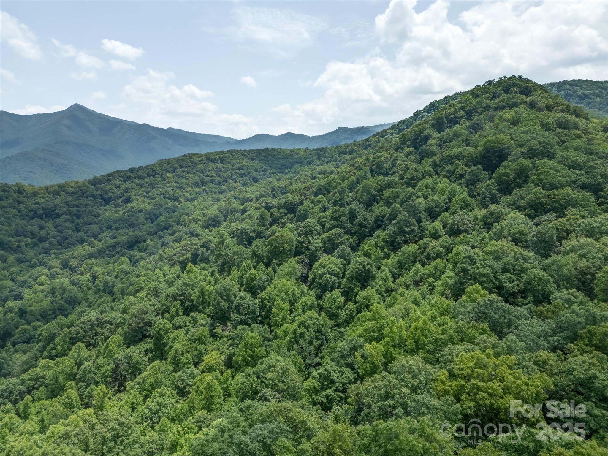 100 White Rock Branch Road Candler NC 28715