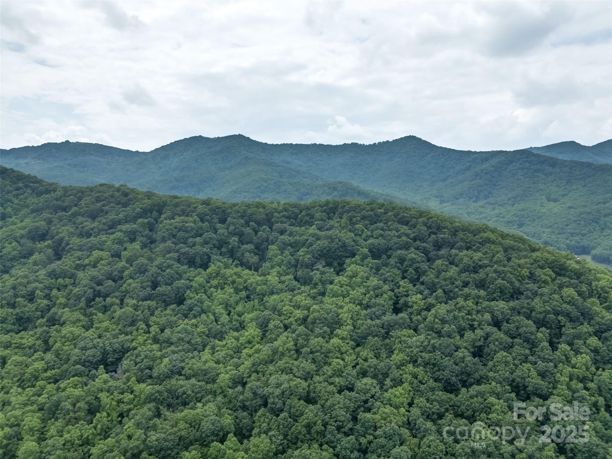 100 White Rock Branch Road Candler NC 28715