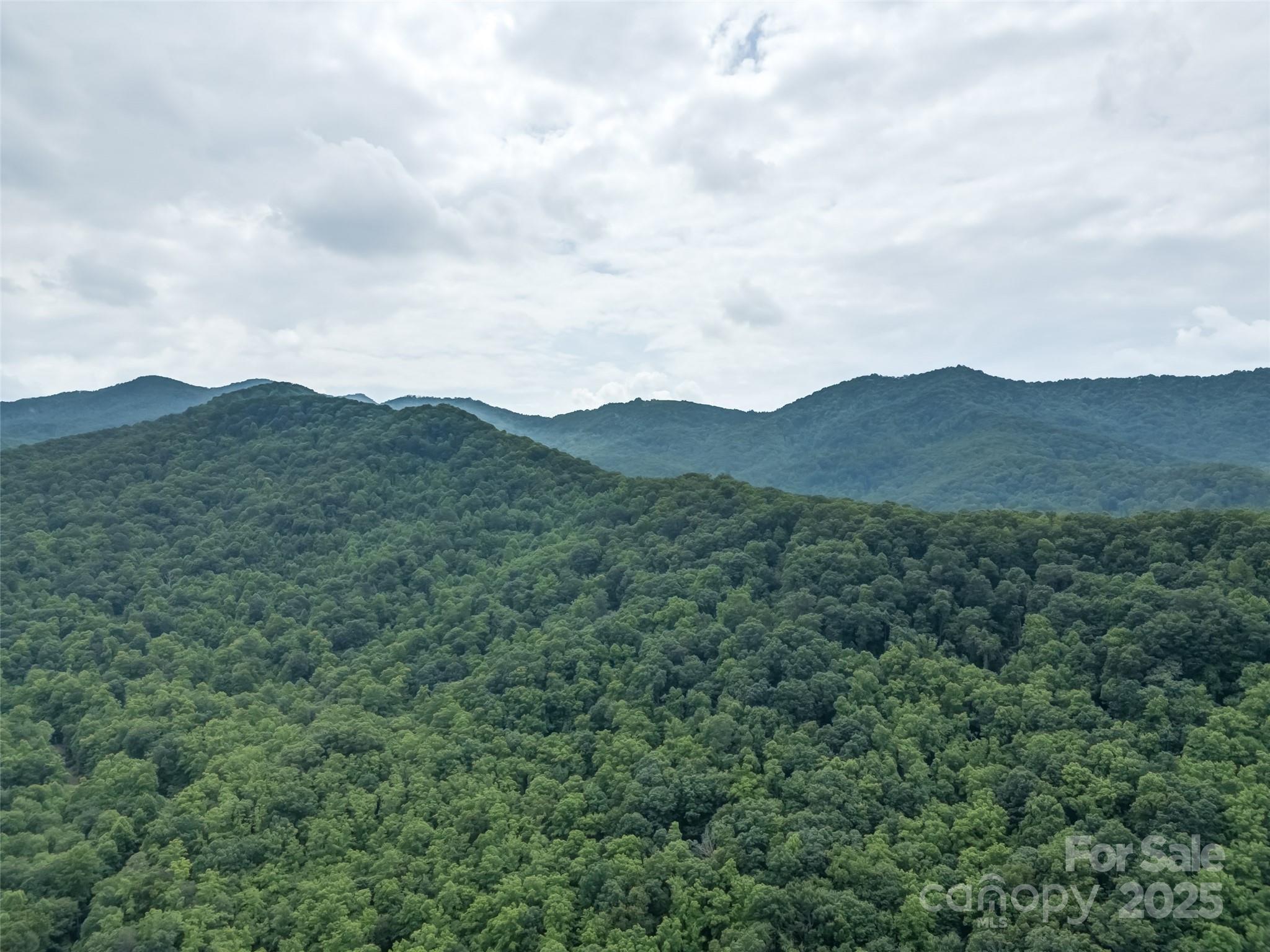 100 White Rock Branch Road Candler NC 28715
