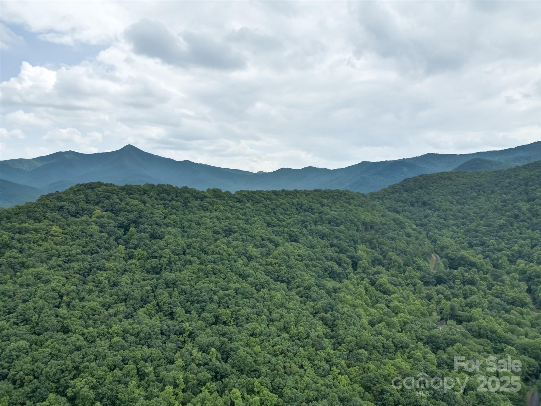 100 White Rock Branch Road Candler NC 28715