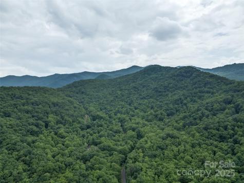100 White Rock Branch Road Candler NC 28715