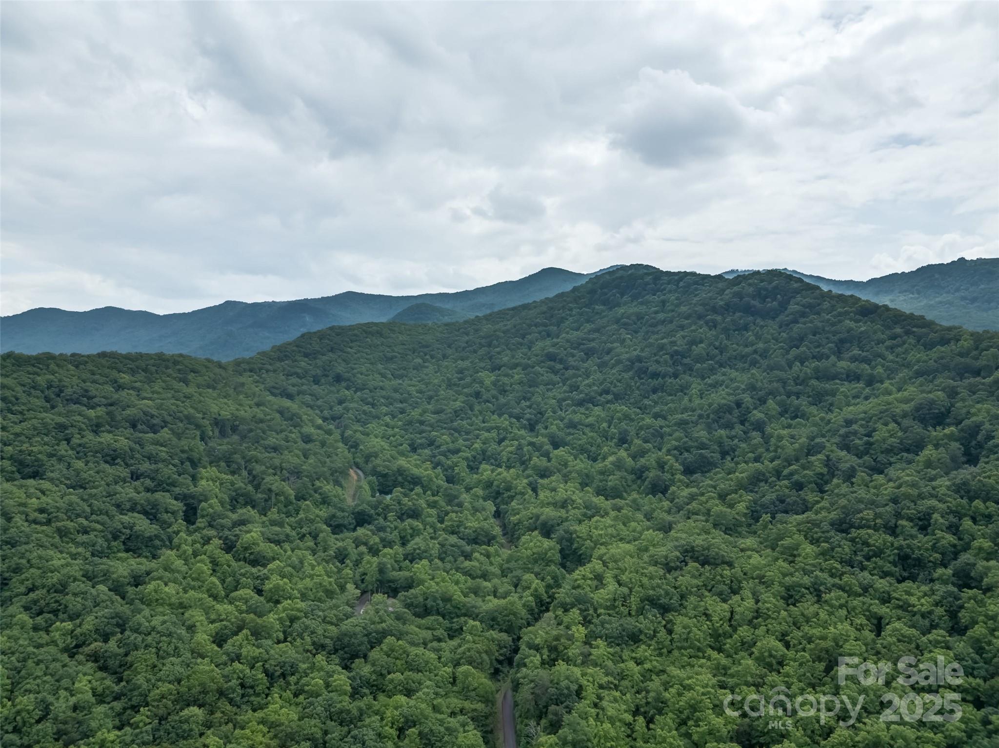 100 White Rock Branch Road Candler NC 28715