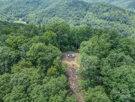 100 White Rock Branch Road Candler NC 28715