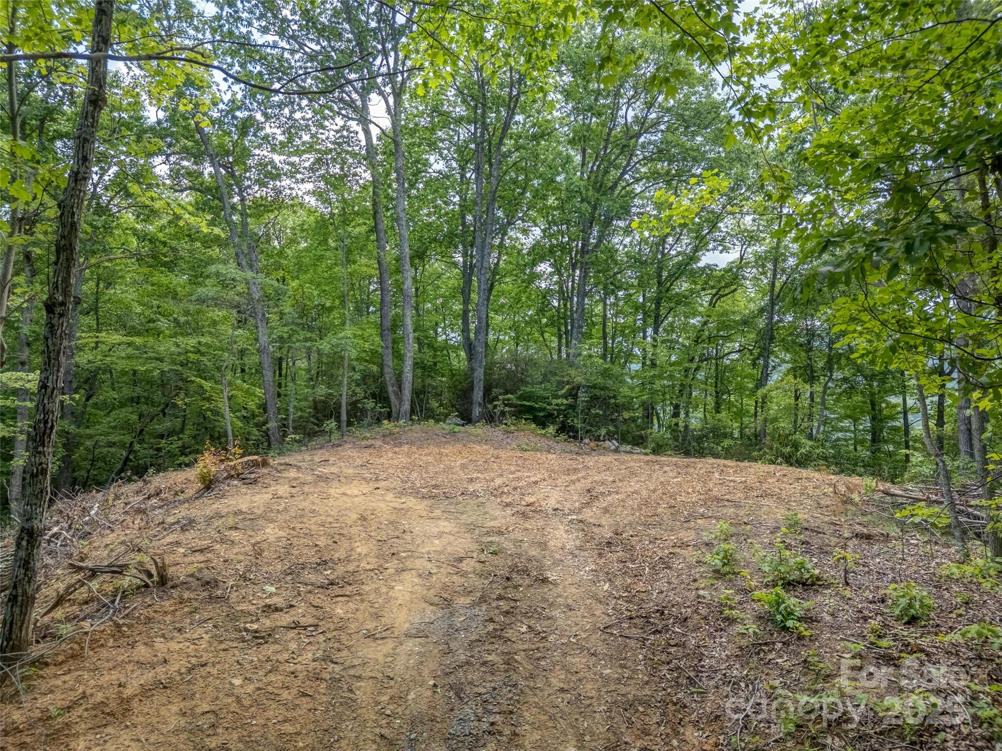 100 White Rock Branch Road Candler NC 28715