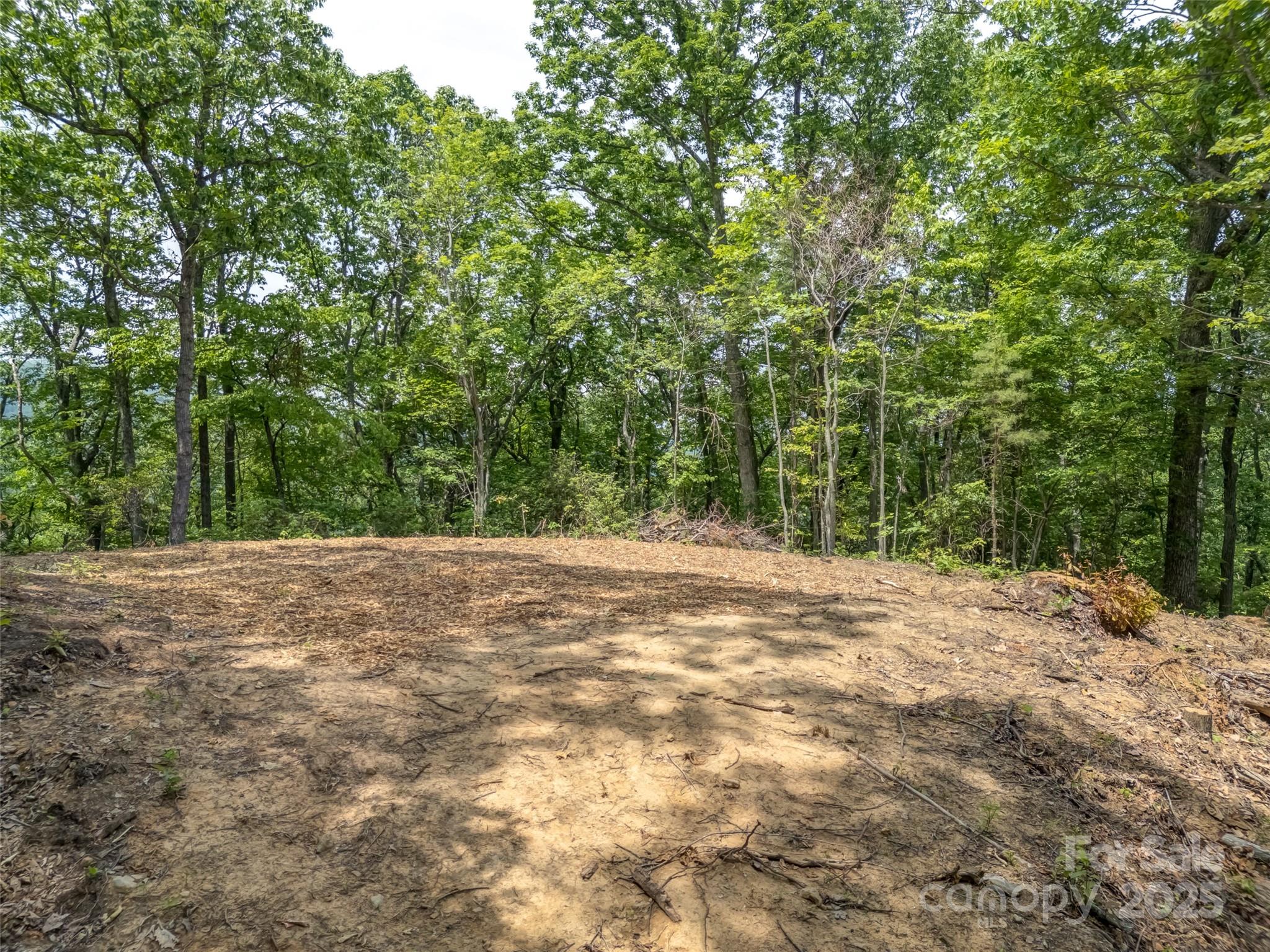 100 White Rock Branch Road Candler NC 28715