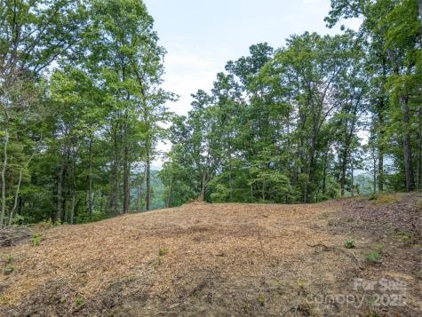100 White Rock Branch Road Candler NC 28715