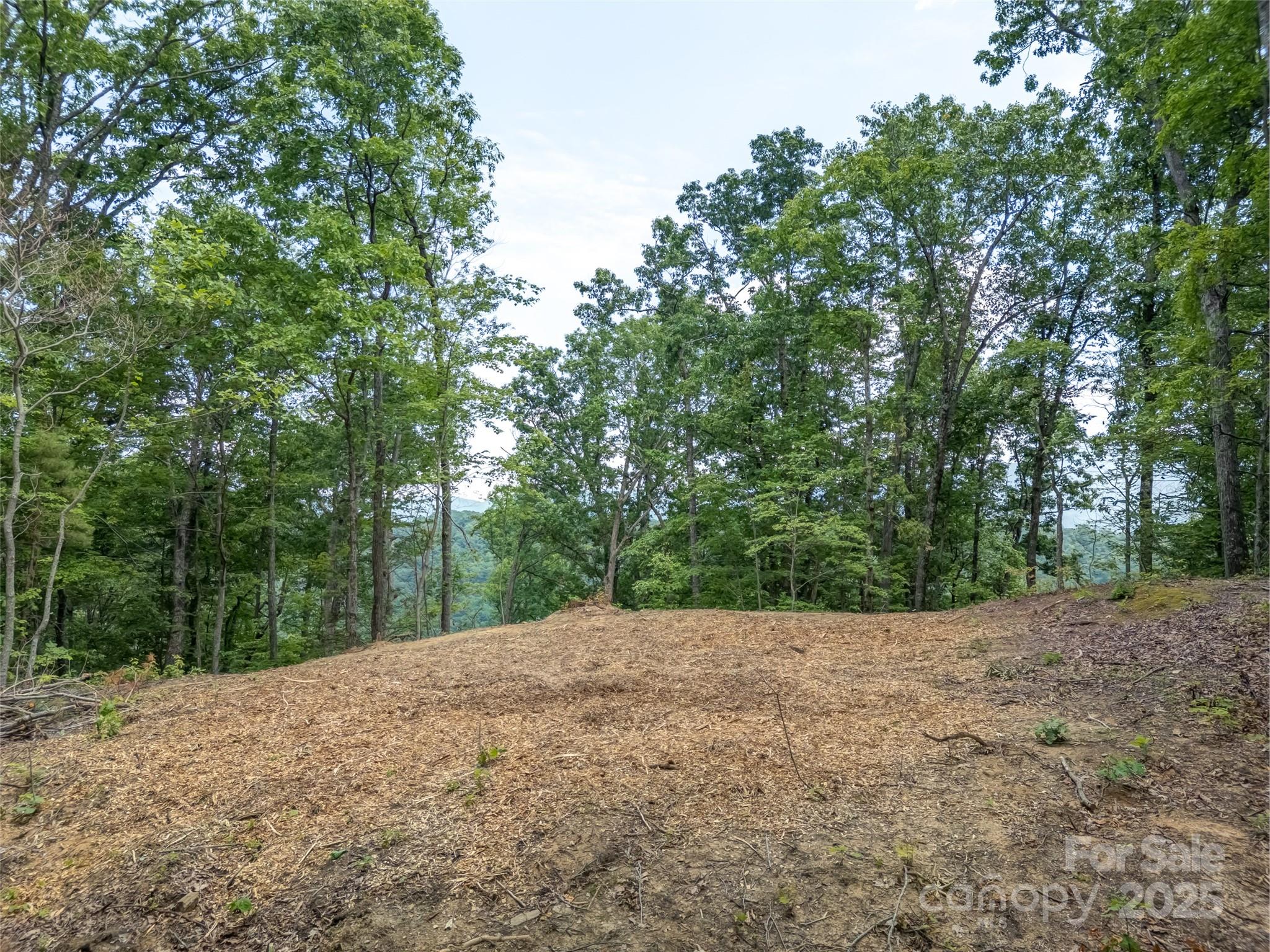 100 White Rock Branch Road Candler NC 28715