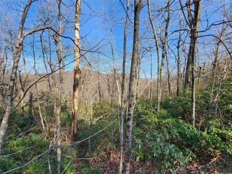 Lot 22 Sunset Ridge Drive Columbus NC 28722