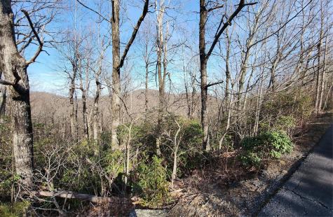 Lot 22 Sunset Ridge Drive Columbus NC 28722