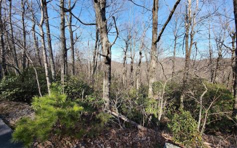 Lot 22 Sunset Ridge Drive Columbus NC 28722