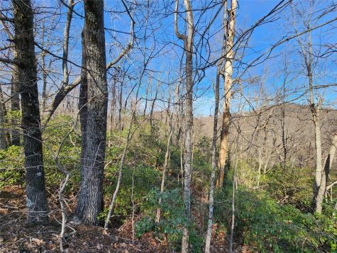 Lot 22 Sunset Ridge Drive Columbus NC 28722