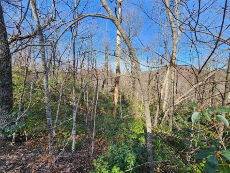 Lot 22 Sunset Ridge Drive Columbus NC 28722
