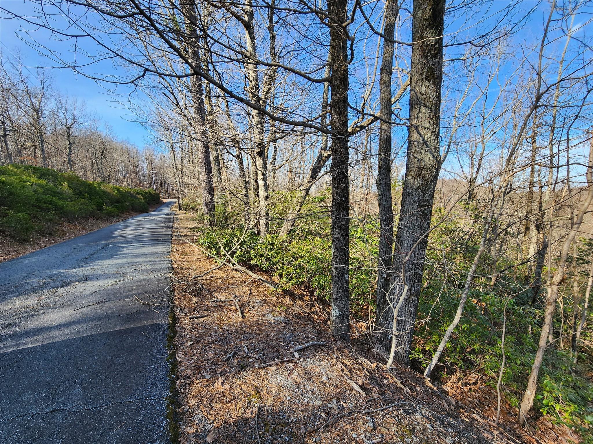 Lot 22 Sunset Ridge Drive Columbus NC 28722