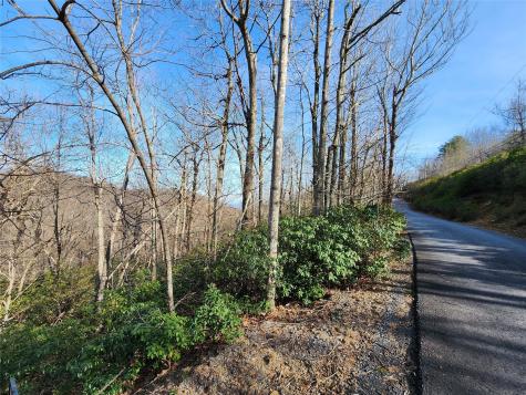 Lot 22 Sunset Ridge Drive Columbus NC 28722