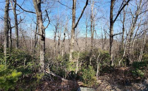 Lot 22 Sunset Ridge Drive Columbus NC 28722