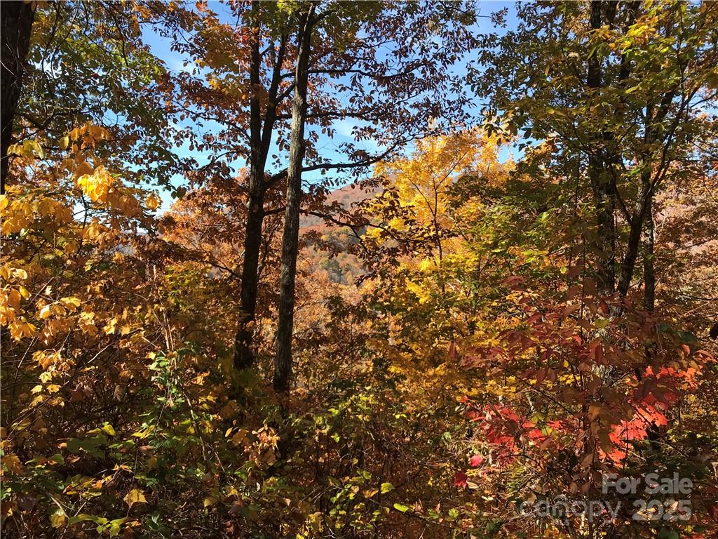 7 Legend Road Waynesville NC 28786