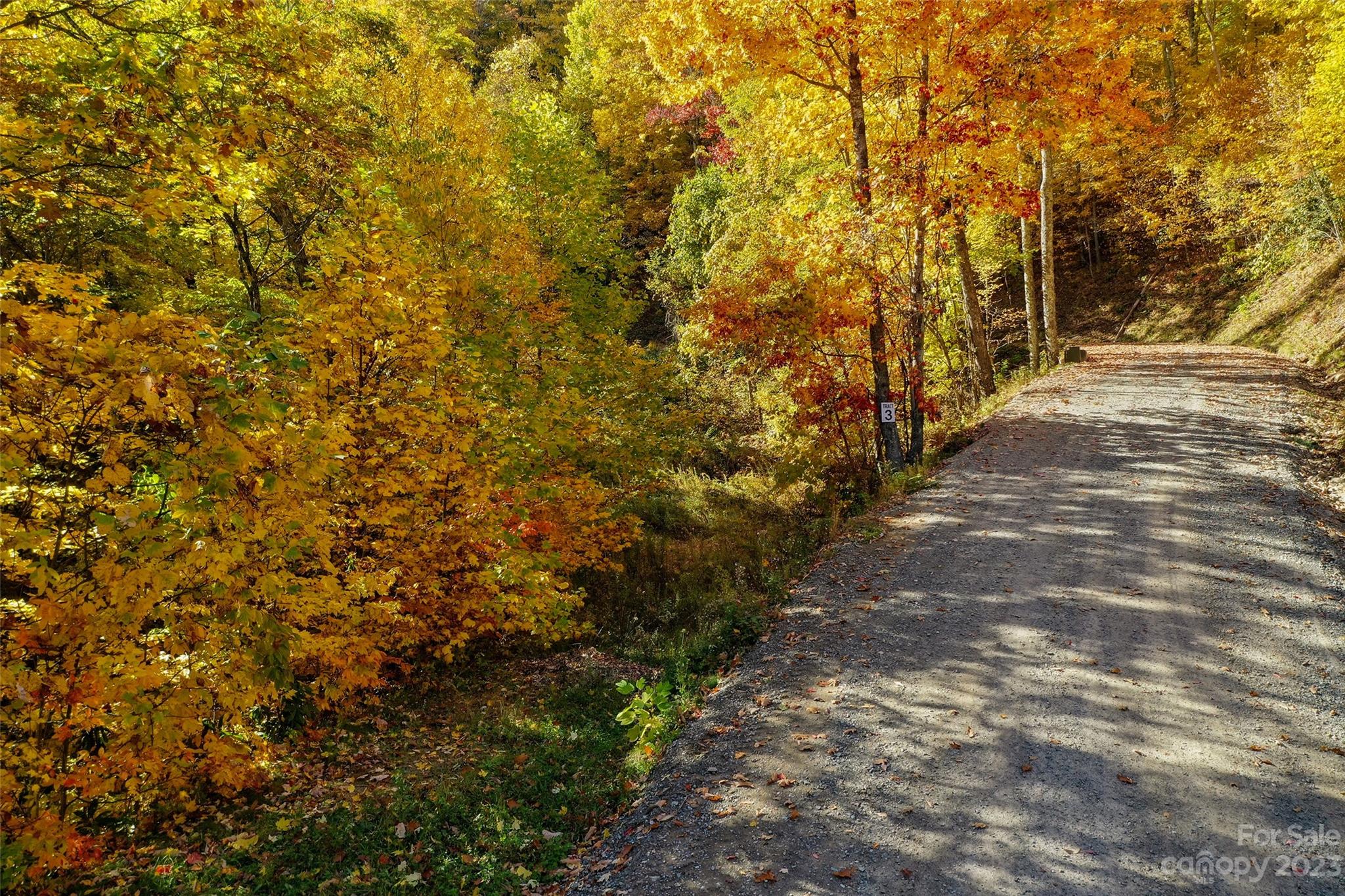 Tract 3 Sigogglin Trail Waynesville NC 28785