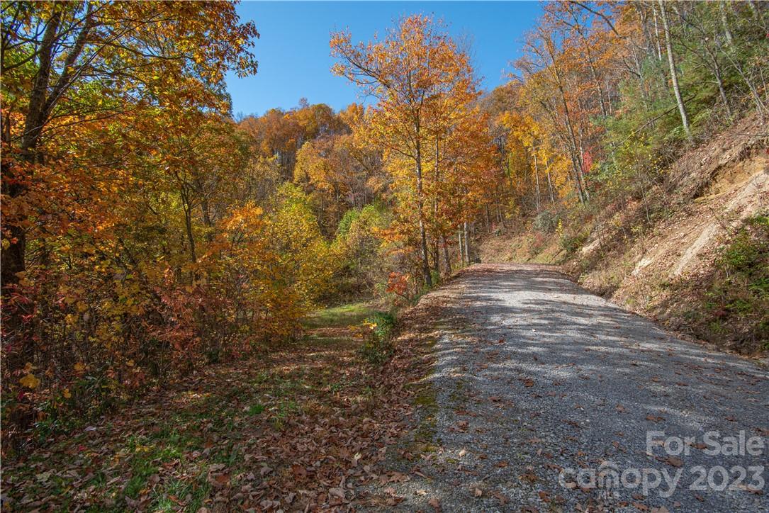 Tract 3 Sigogglin Trail Waynesville NC 28785