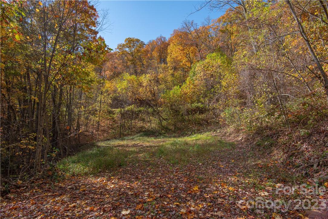 Tract 3 Sigogglin Trail Waynesville NC 28785