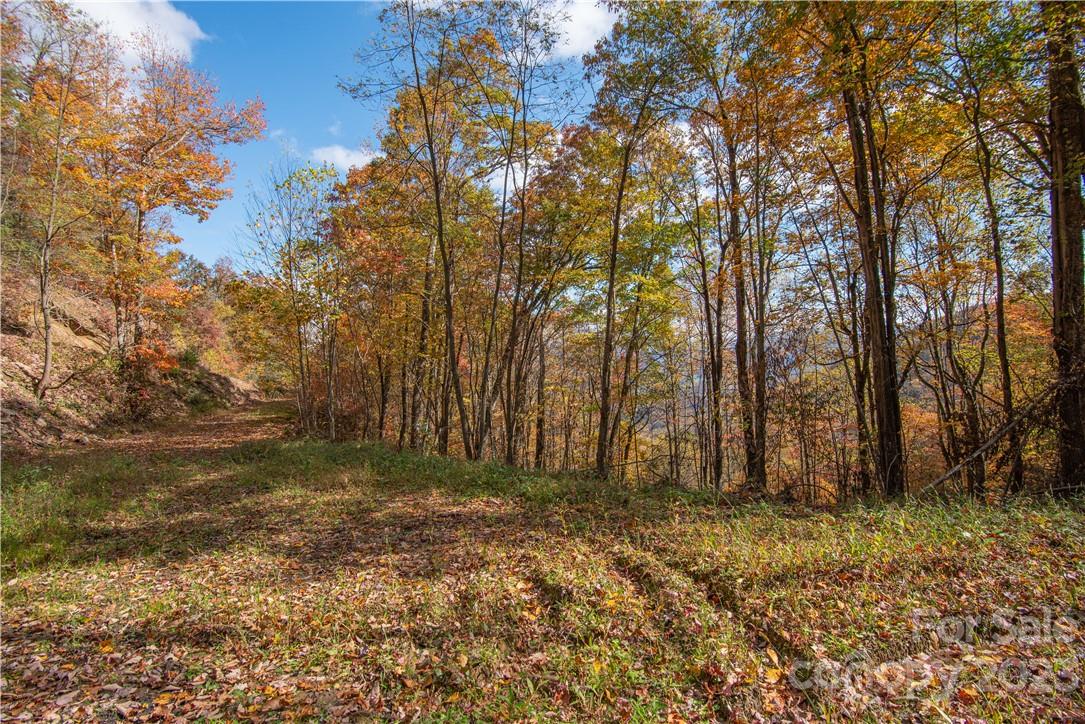 Tract 3 Sigogglin Trail Waynesville NC 28785