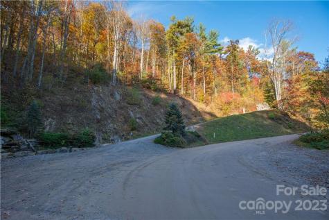 Tract 3 Sigogglin Trail Waynesville NC 28785