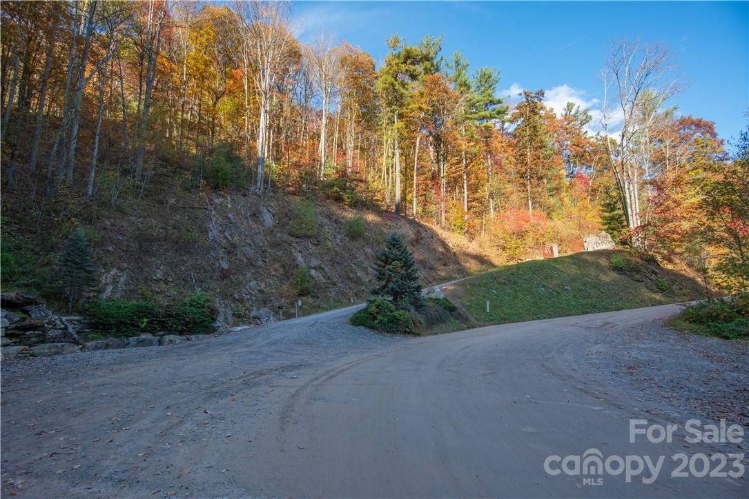 Tract 3 Sigogglin Trail Waynesville NC 28785