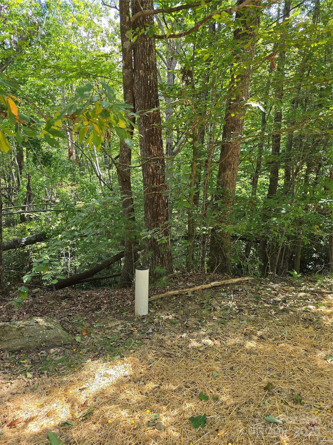 11 Reserve Road Pisgah Forest NC 28768